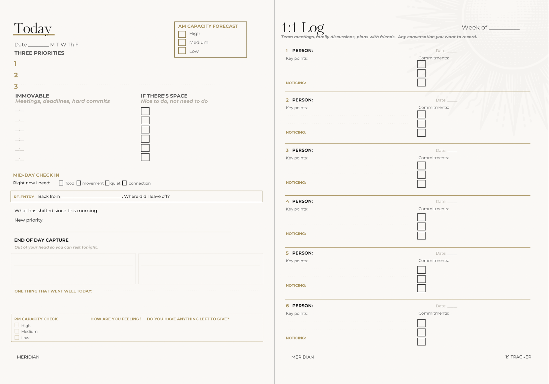 The Today and 1:1 Log spread from inside the Meridian planner